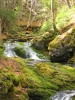 PICTURES/Fundy National Park - Dickson Falls/t_Cannon Little Falls2.jpg